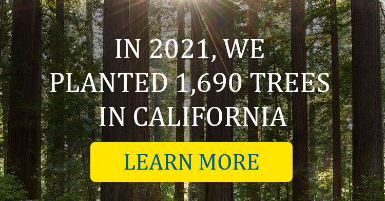 In 2021, we planted 1,690 trees in California. Learn More.